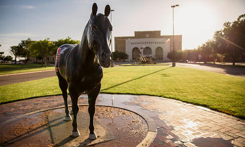 Black horse statue on the TTUHSC Amarillo campus, with academic buildings and a sunlit green lawn visible in the background.