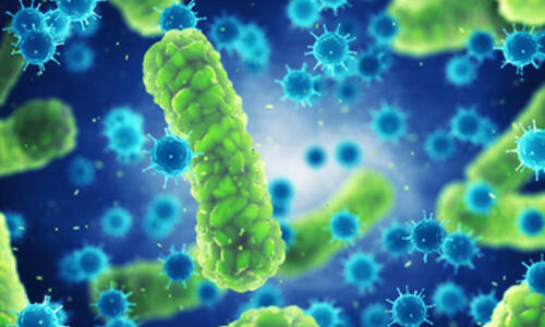 Microscopic illustration of disease-causing bacteria and virus-like particles.