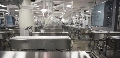 Medical anatomy laboratory with stainless steel examination tables and overhead lights.