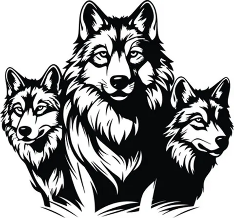 Three black and white wolfs.