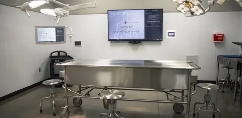 A medical education lab setup featuring clinical simulation equipment and workstation computer screens.