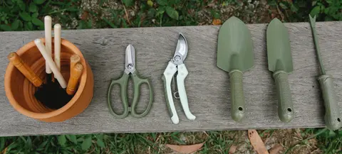 Gardening tools, including hand trowels, pruning shears, a cultivator, and a small bucket with hand tools, arranged on a wooden bench outdoors.
