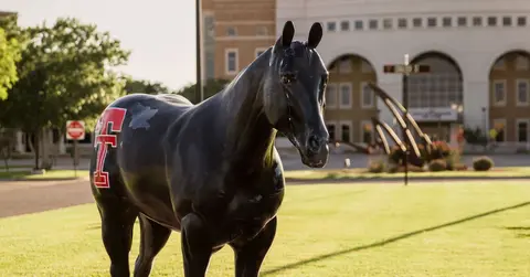Black horse statue featuring the Texas Tech Double T logo outside the Amarillo campus.