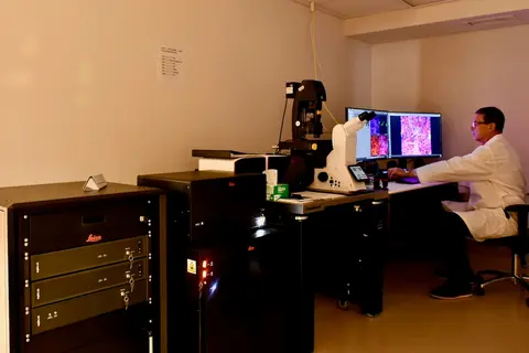 Leica Stellaris 8 Falcon STED Microscope