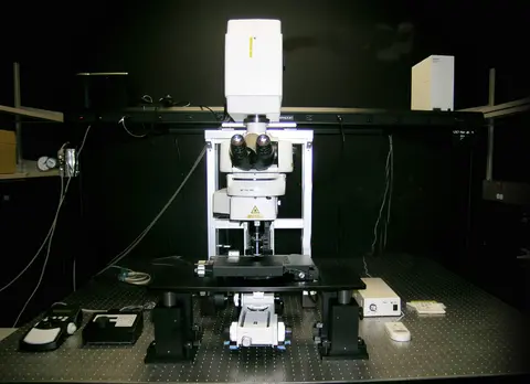Nikon A1R MP Multiphoton Confocal Microscope