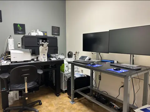 Image of Zeiss LSM 980 system