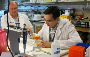 Ibarra attends the SABR Program at the Graduate School of Biomedical Sciences in El Paso as a student intern.