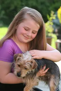 Parents are advised to teach their child to ask permission from the owner before petting a strange dog.