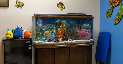 finsh tank and finding nemo plush toys