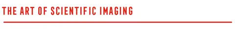 the art of scientific imaging subheader text