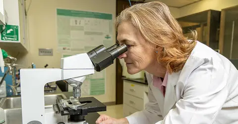 Michaela Jansen, Pharm.D., Ph.D