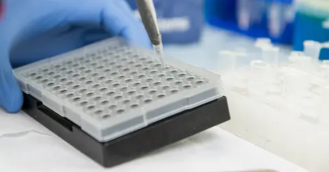 lab equipment being used
