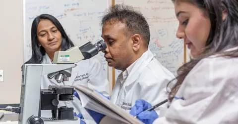 three researchers using equipment in a lab