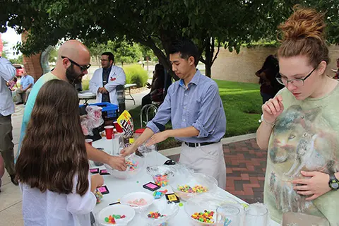 School of Pharmacy Picnic