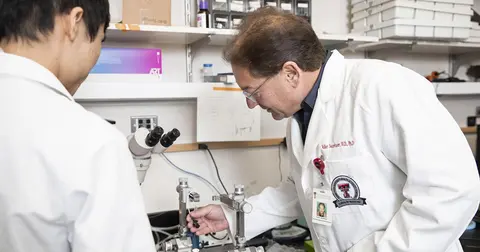 Volker E. Neugebauer, M.D., Ph.D.
