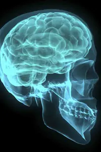 The briefer screen test is able to accurately identify 88 percent of patients with Alzheimer's disease.
