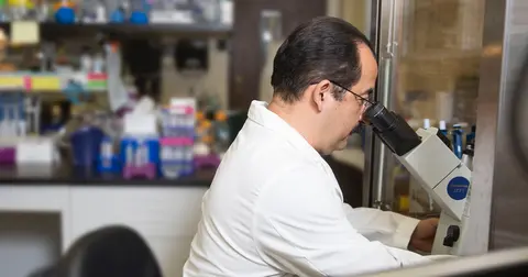 Cuello Researchers