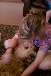 Denver, a certified volunteer therapy dog, enjoys working with patients of all ages.