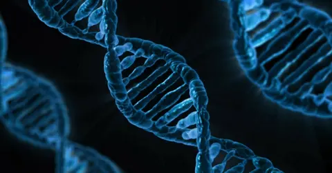 dna helixes