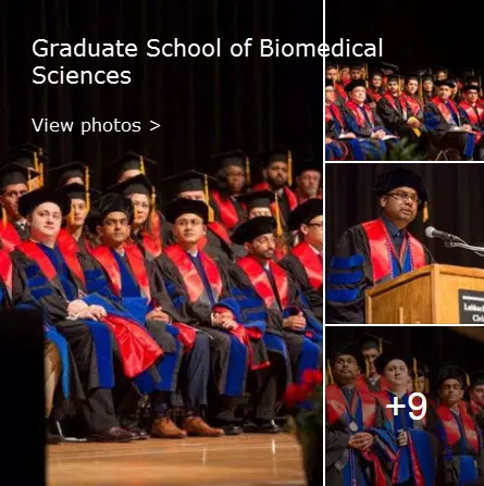 graduation