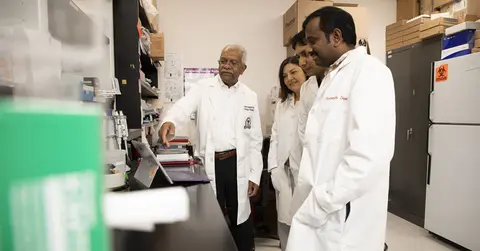scientists learning in a lab