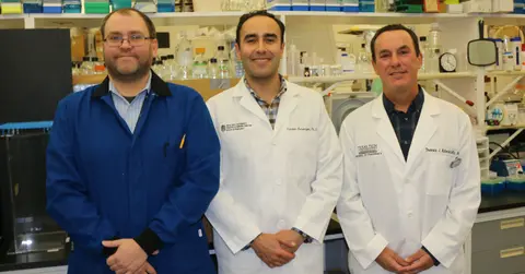 Paul Trippier, Ph.D., Vardan Karamyan, Ph.D., and Thomas Abbruscato, Ph.D.