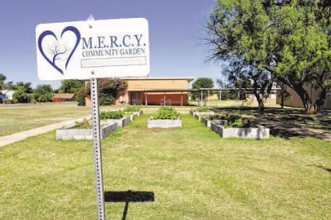 MERCY Community Garden