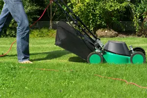 Keeping the grass around your home cut short can help prevent mosquito bites, Warner said.