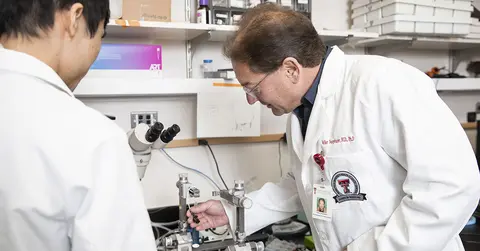Neugebaur researchers in lab