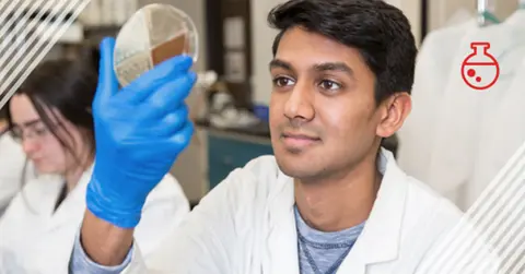 Student looking at dish