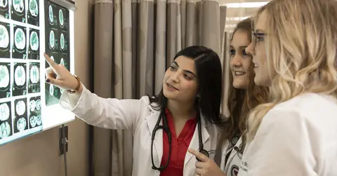 Physician Assistant