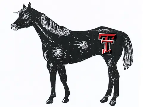 Pride of the Masked Rider drawing with Double-T.