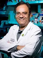 Siddiqui
