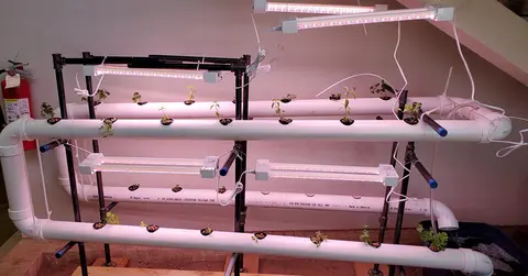 a Hydroponics system under the staircase in Lubbock Impact