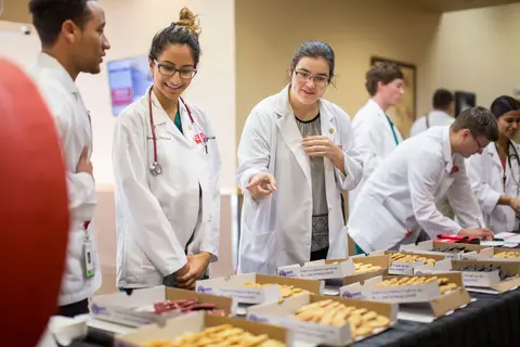 student philanthropy week