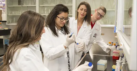 Students collaborate in lab