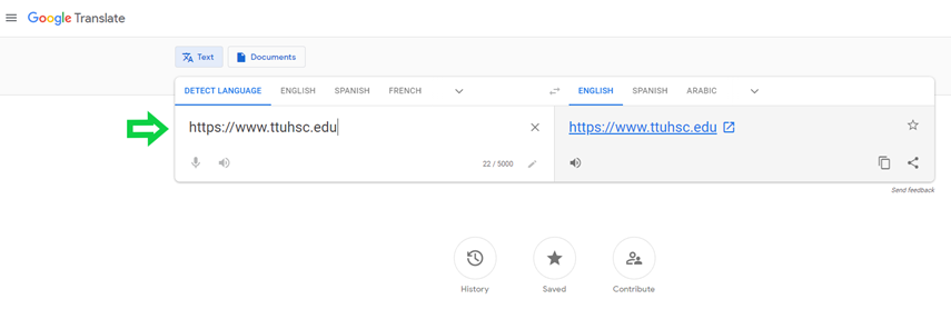 Google Translate Interface